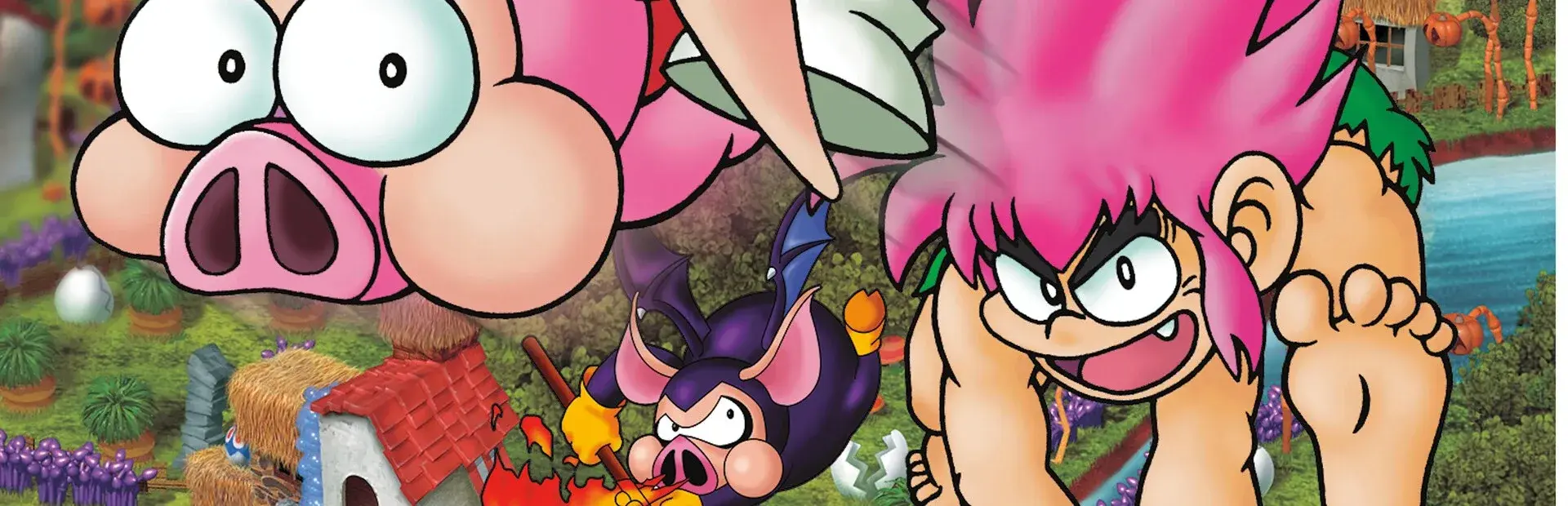 Tomba! Special Edition thumbnail 3