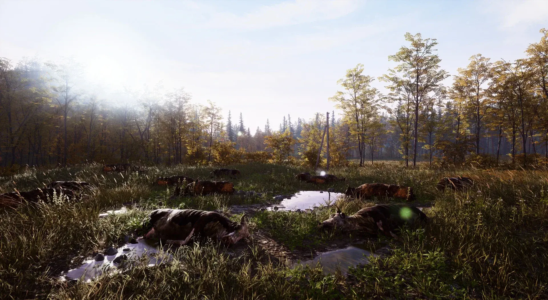 Deadside thumbnail 5