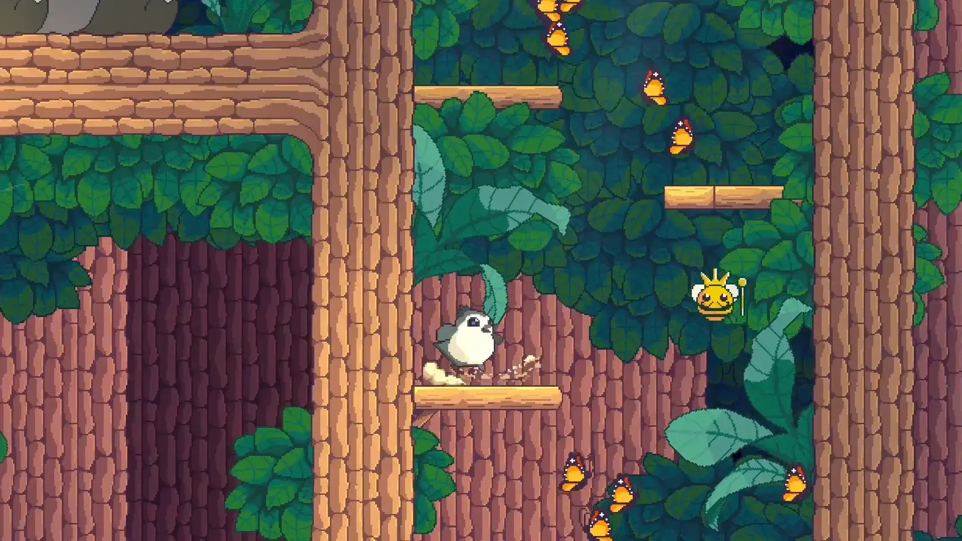 Songbird Symphony thumbnail 8