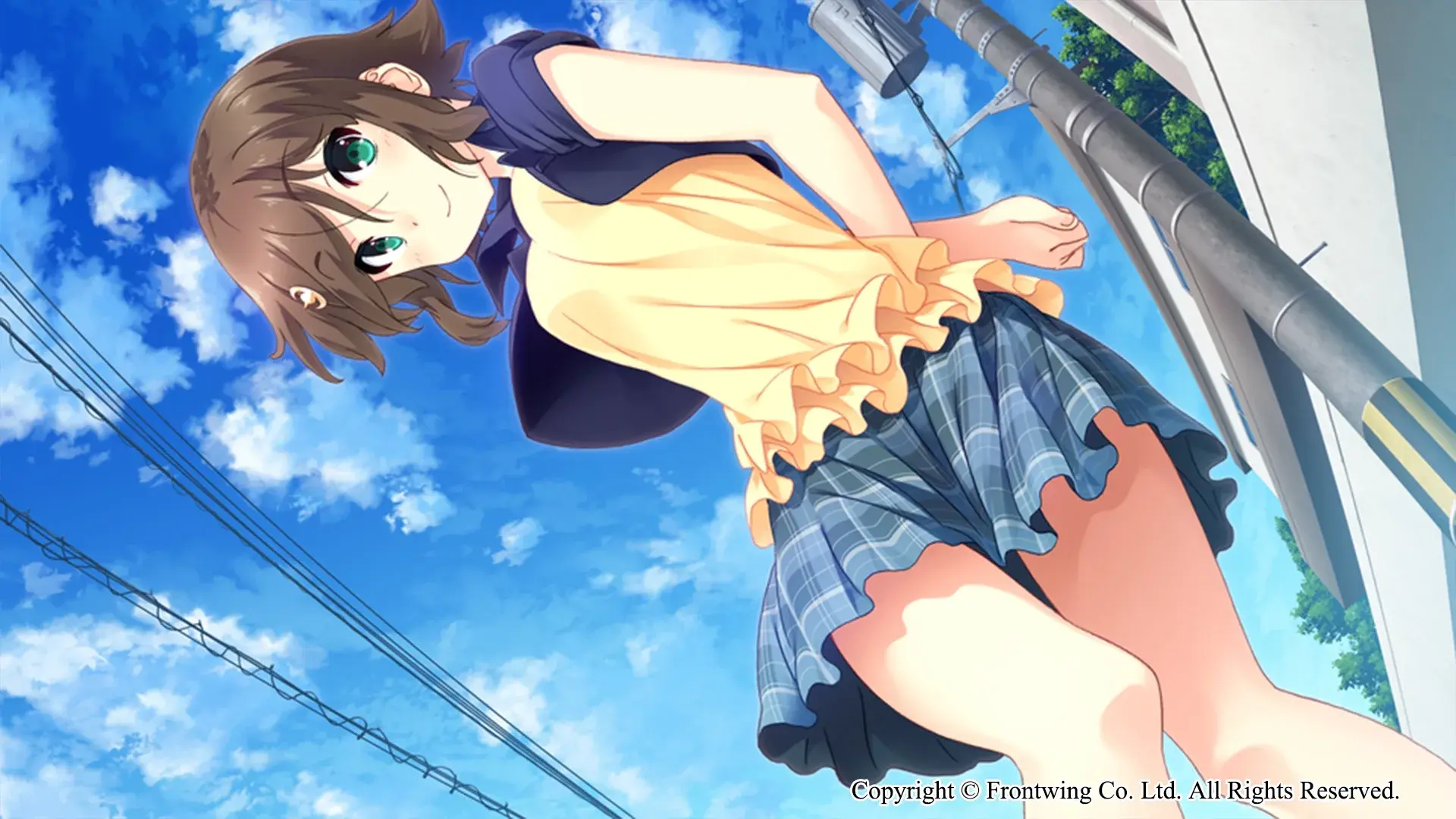 Himawari - The Sunflower - thumbnail 3
