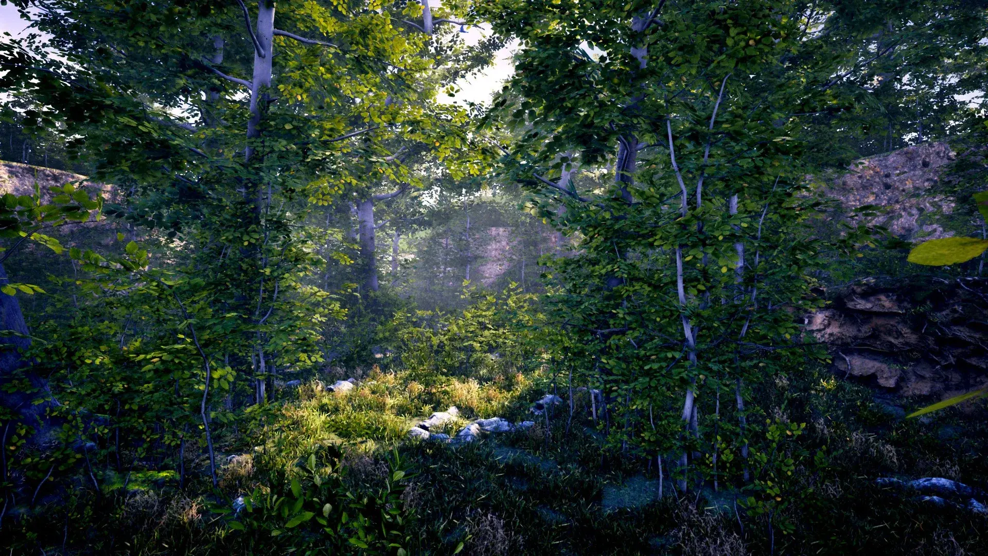 The Fabled Woods thumbnail 5