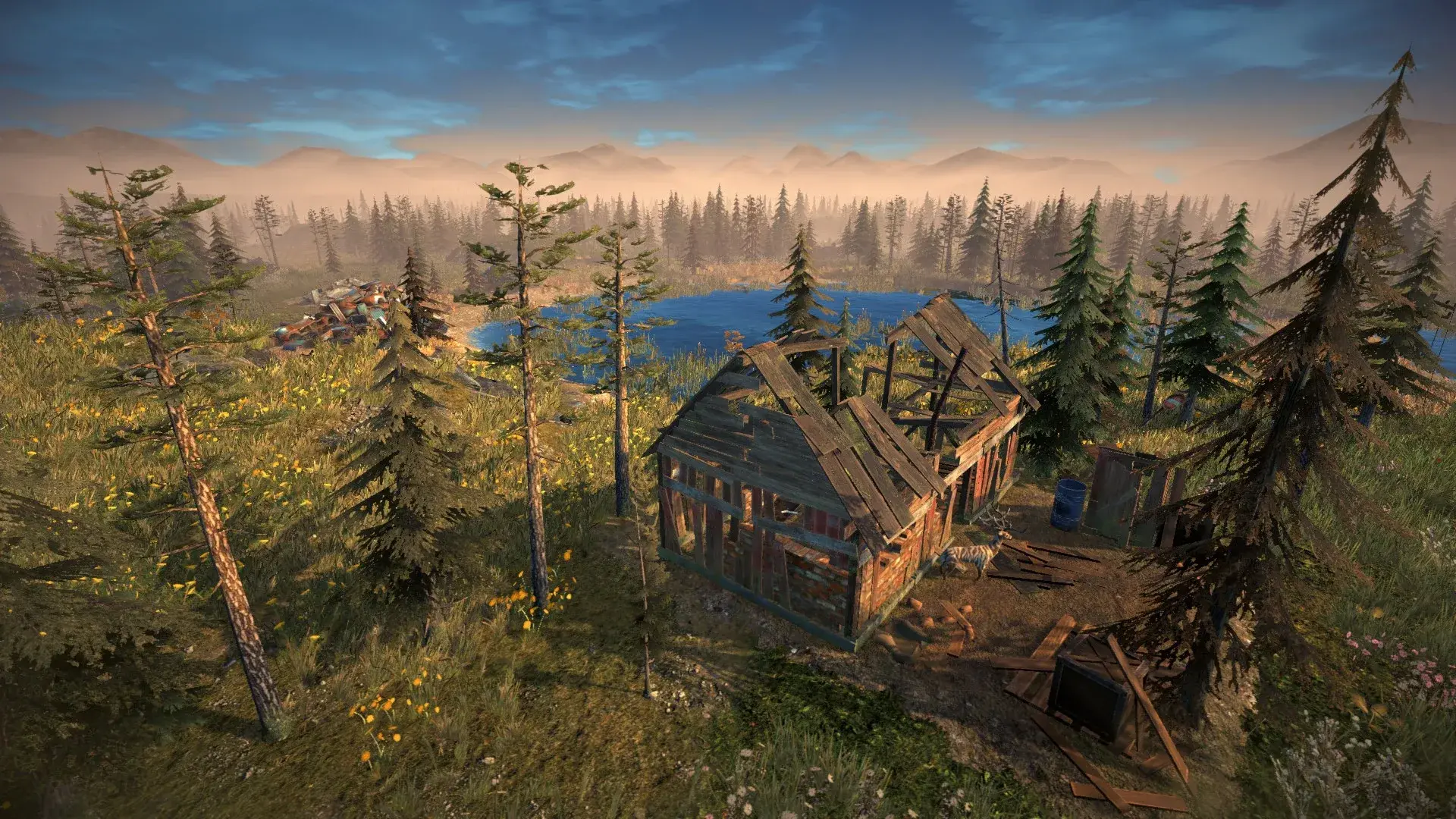 Surviving the Aftermath thumbnail 12