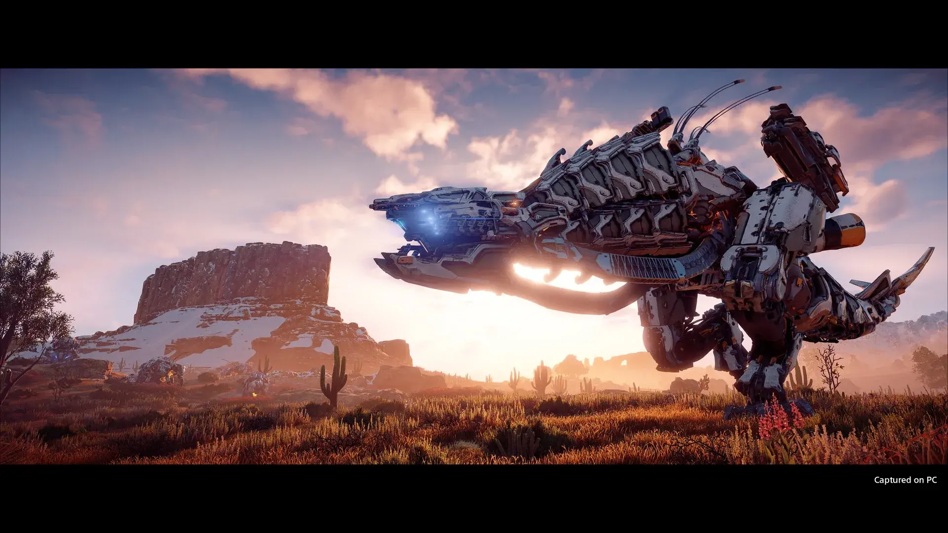 Horizon Zero Dawn Complete Edition thumbnail 9