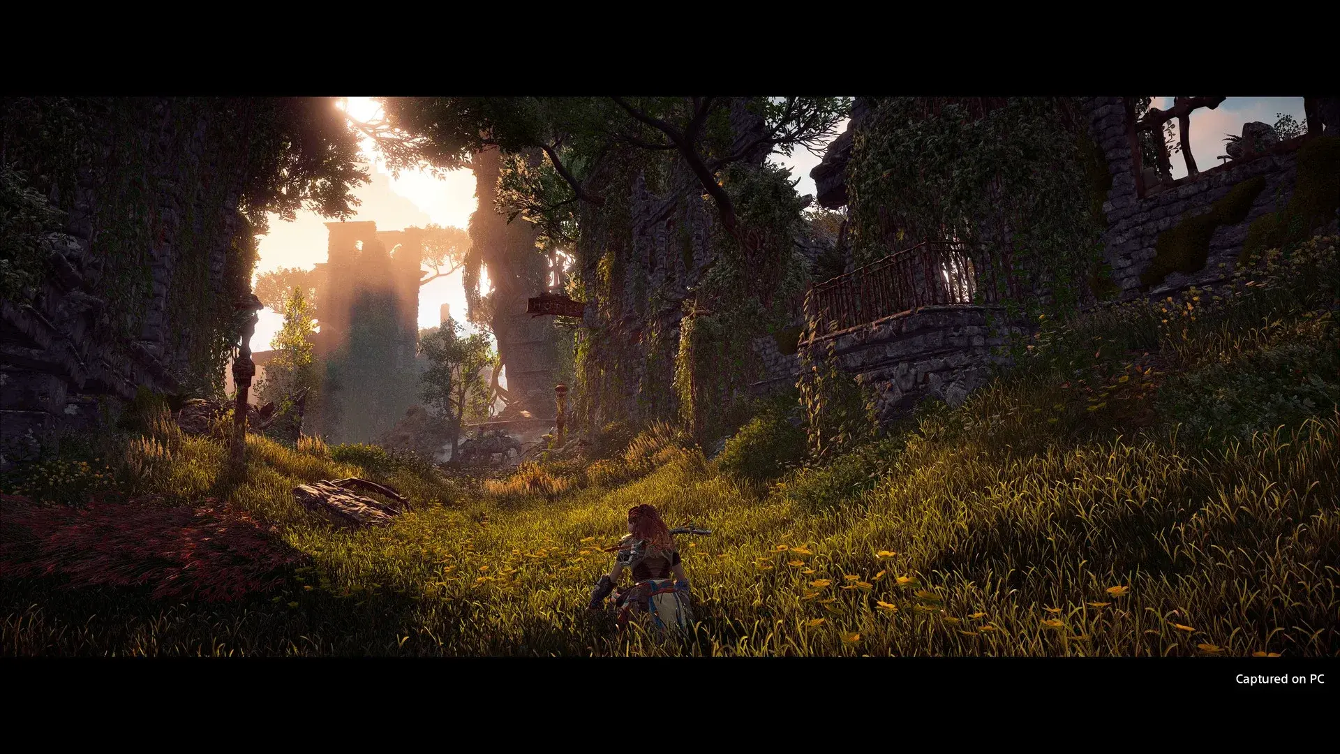 Horizon Zero Dawn Complete Edition thumbnail 7