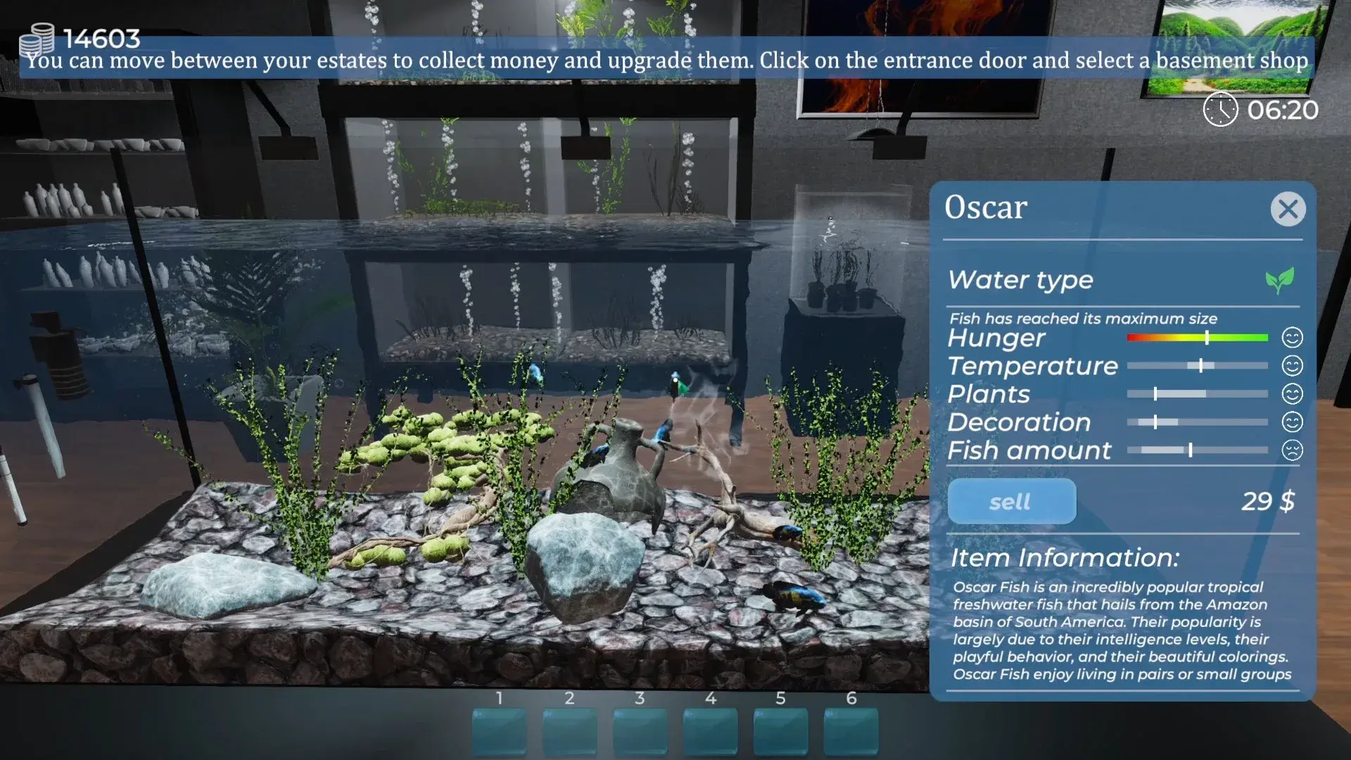 Aquarist thumbnail 17