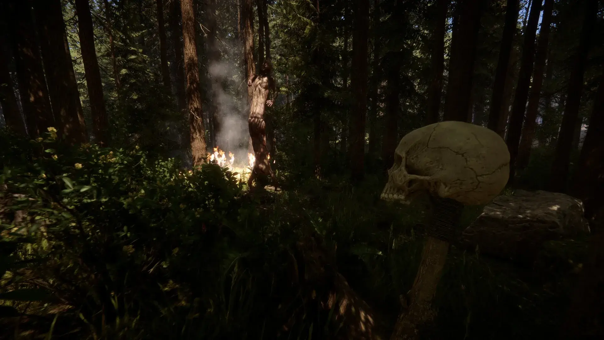 Sons Of The Forest thumbnail 10
