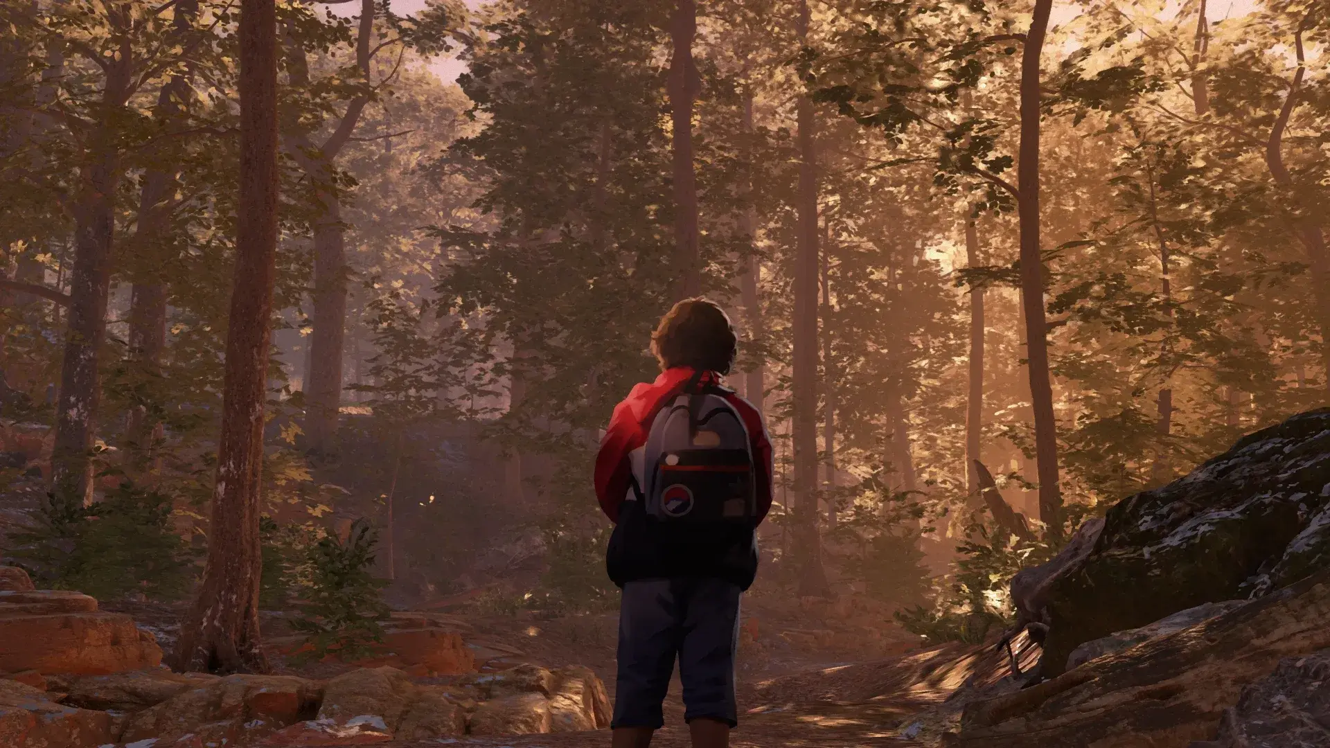 As Dusk Falls thumbnail 14