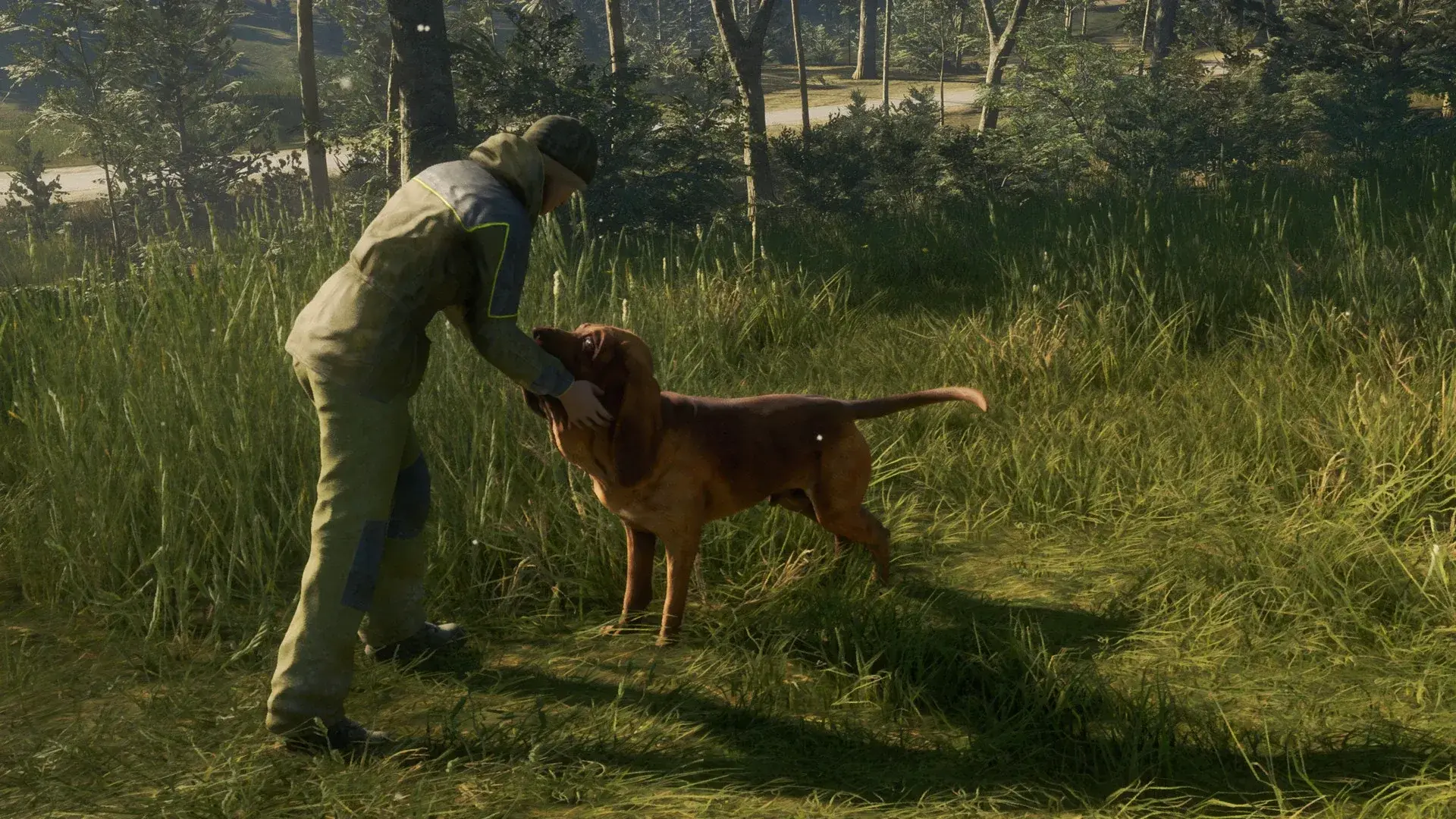 theHunter: Call of the Wild - Bloodhound thumbnail 7