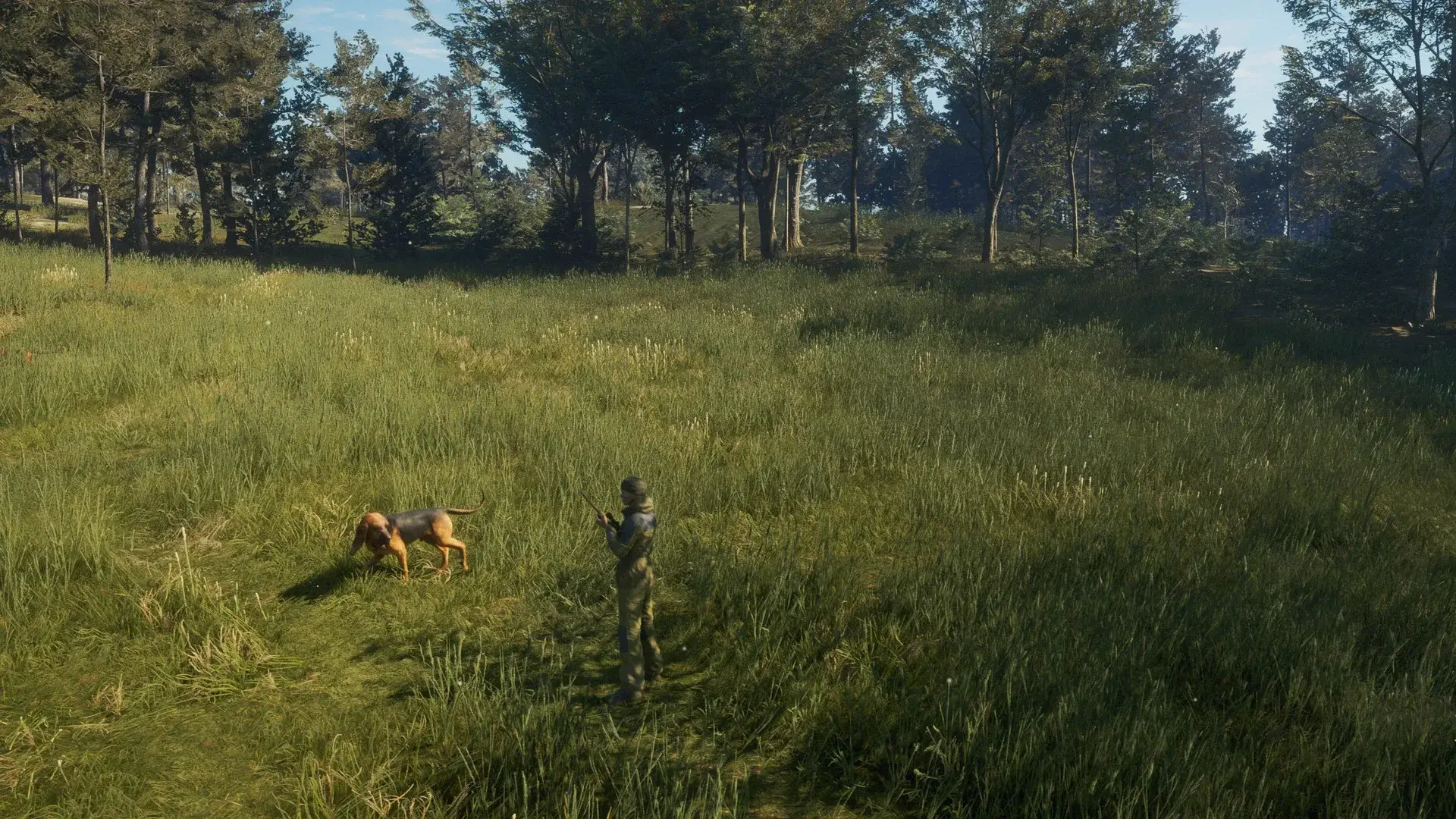 theHunter: Call of the Wild - Bloodhound thumbnail 2