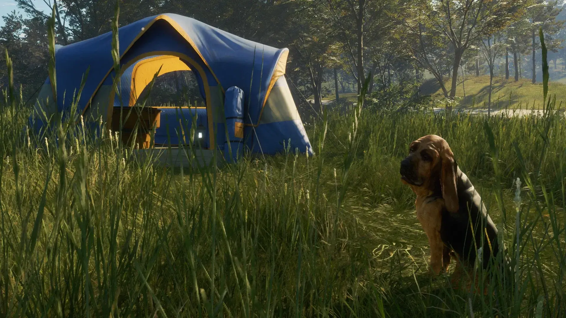 theHunter: Call of the Wild - Bloodhound thumbnail 8