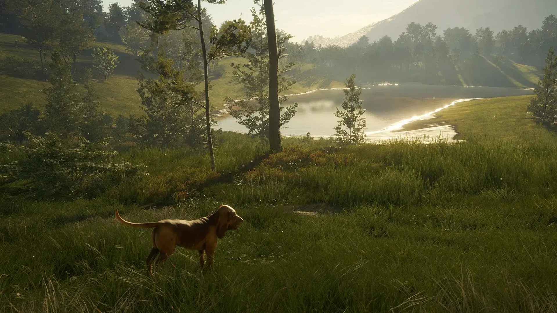 theHunter: Call of the Wild - Bloodhound thumbnail 3