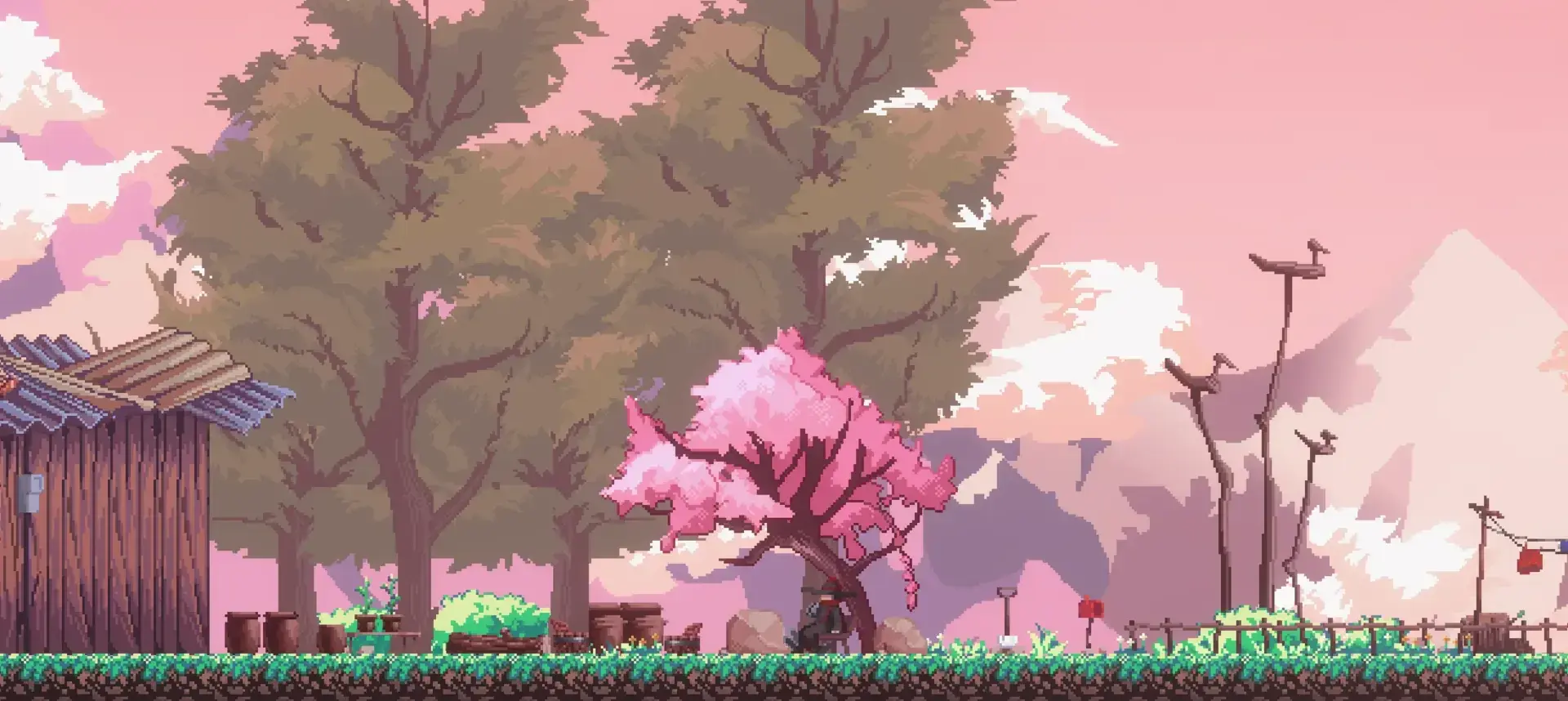 SANABI thumbnail 11