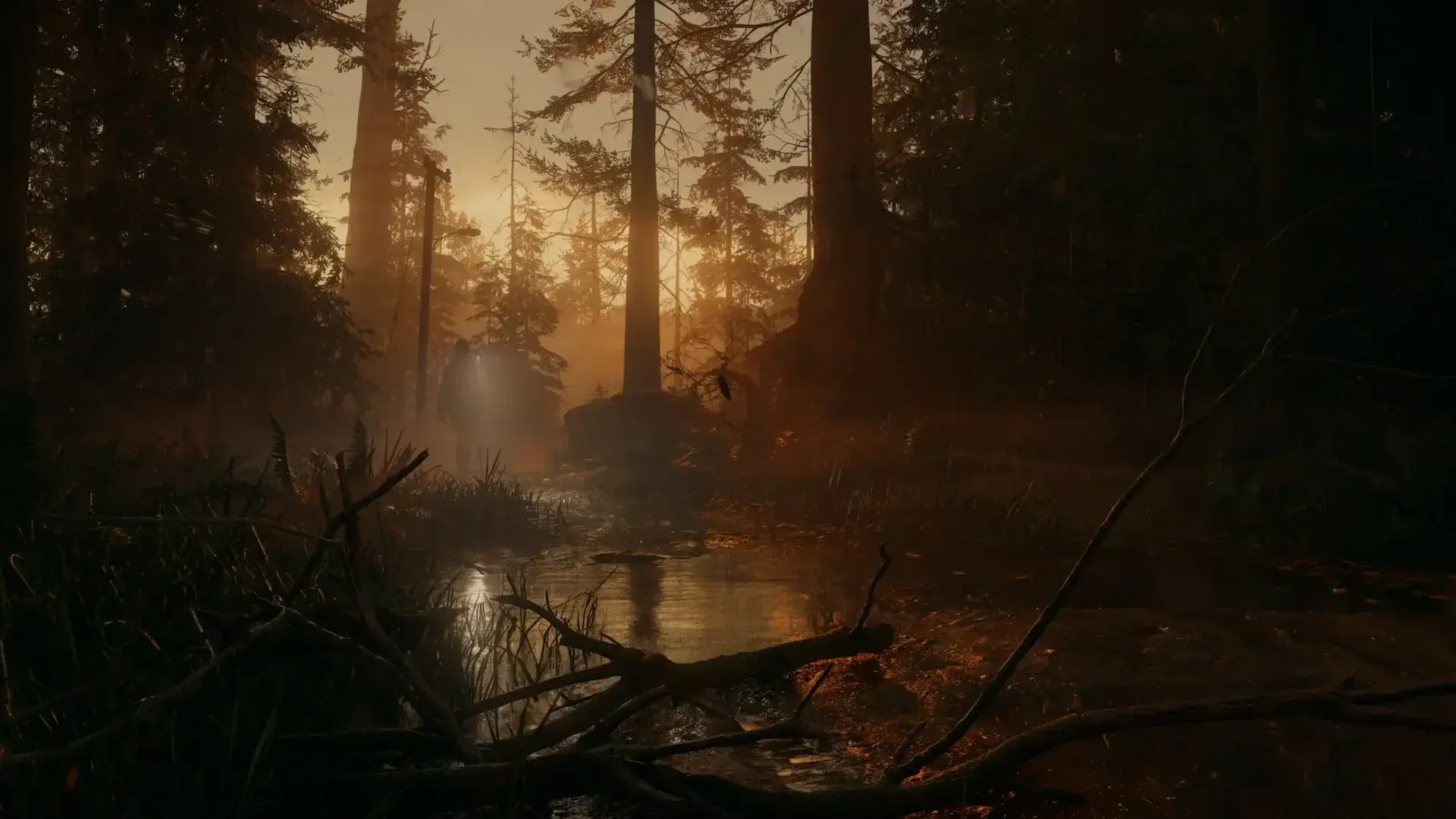 Alan Wake thumbnail 12