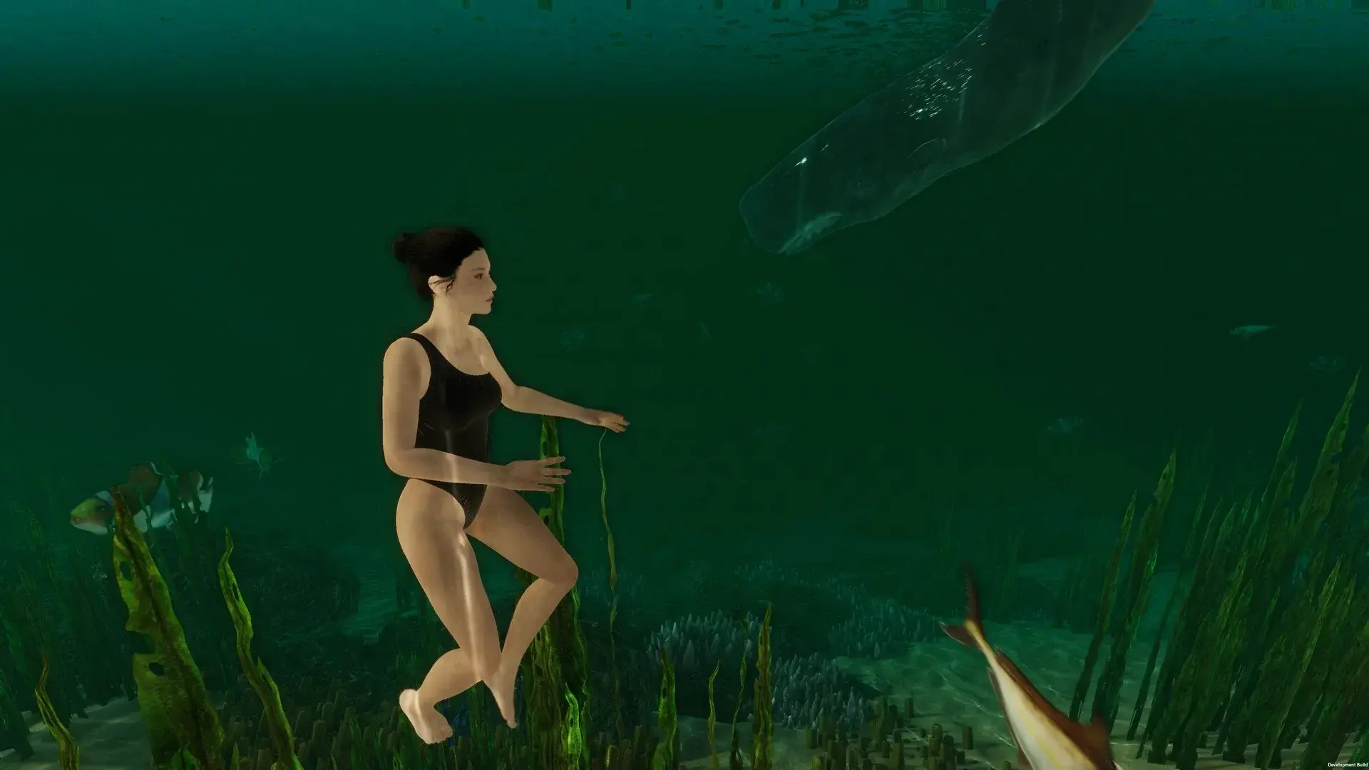 Island Notes thumbnail 6