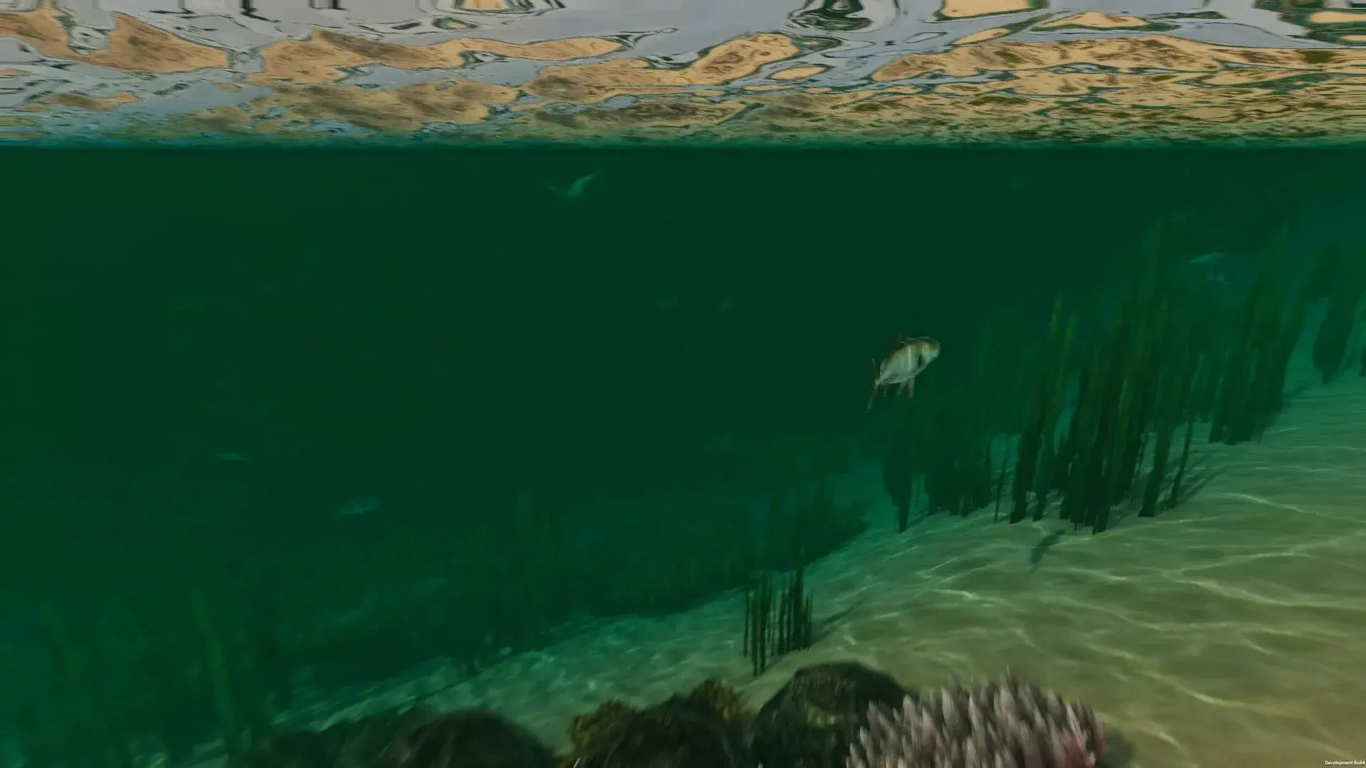 Island Notes thumbnail 14