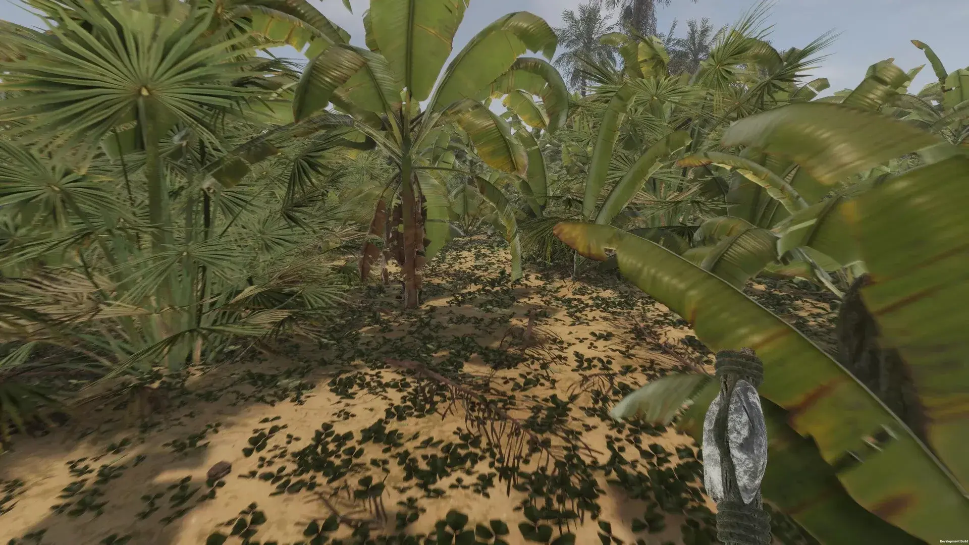 Island Notes thumbnail 9