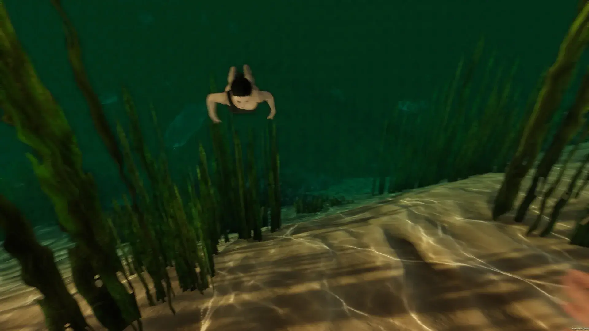 Island Notes thumbnail 11