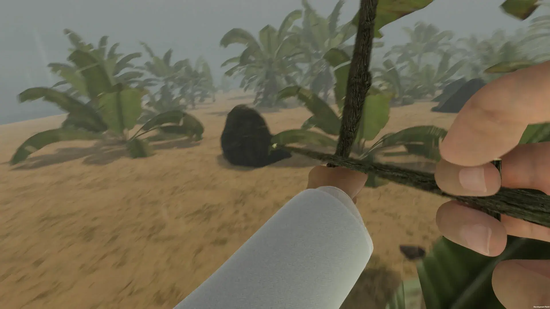 Island Notes thumbnail 12