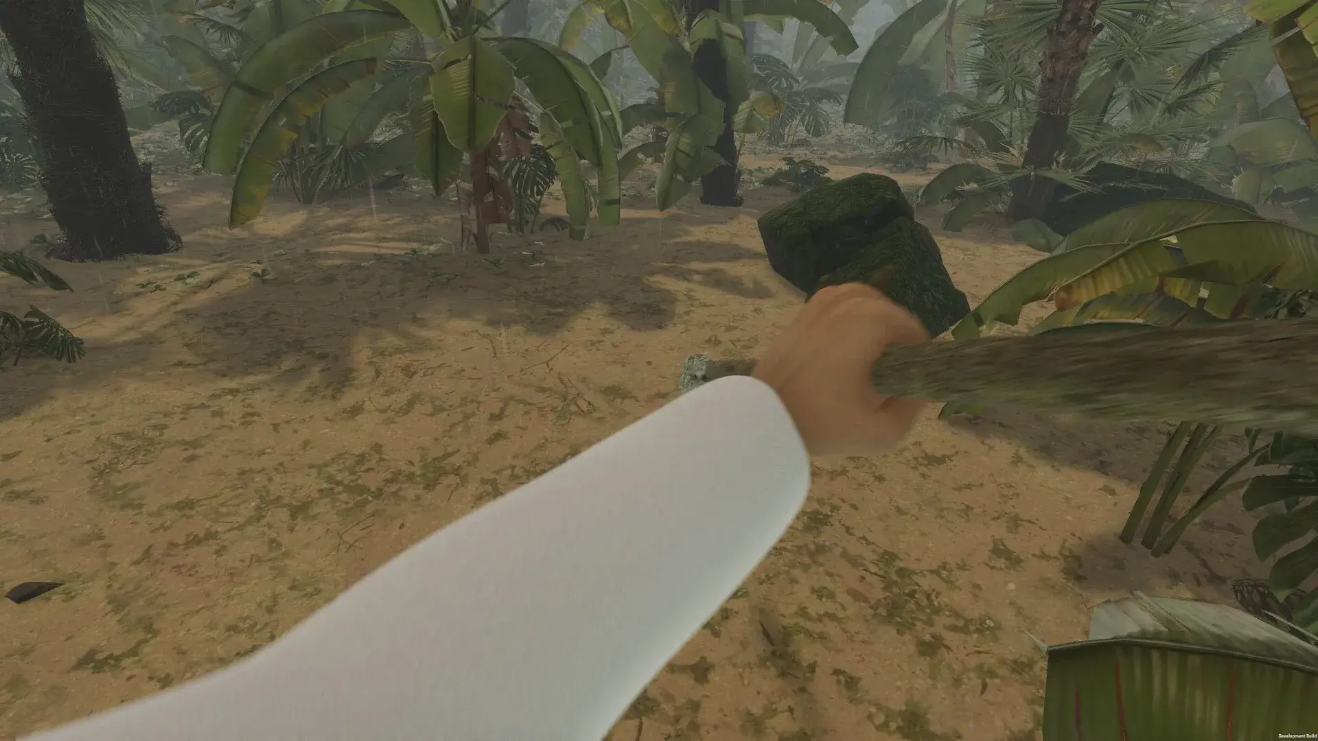Island Notes thumbnail 17