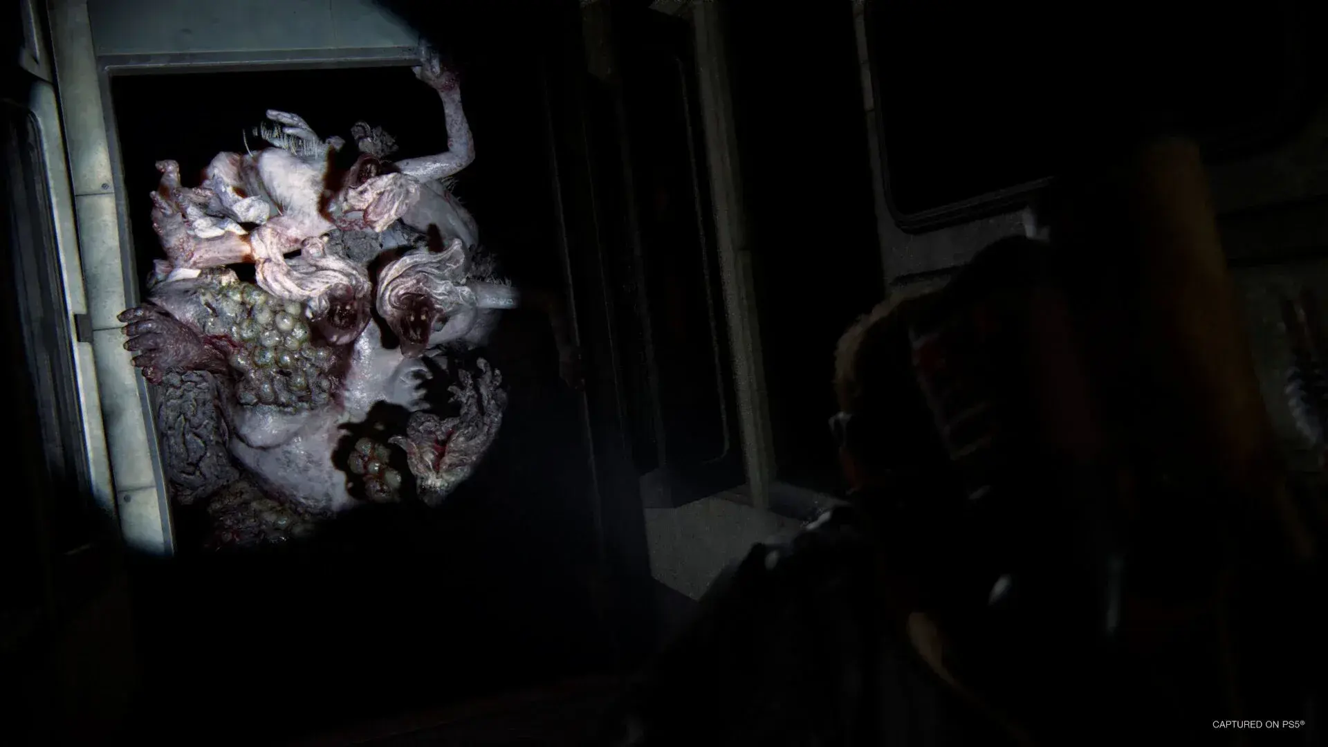 The Last of Us Part II Remastered thumbnail 13