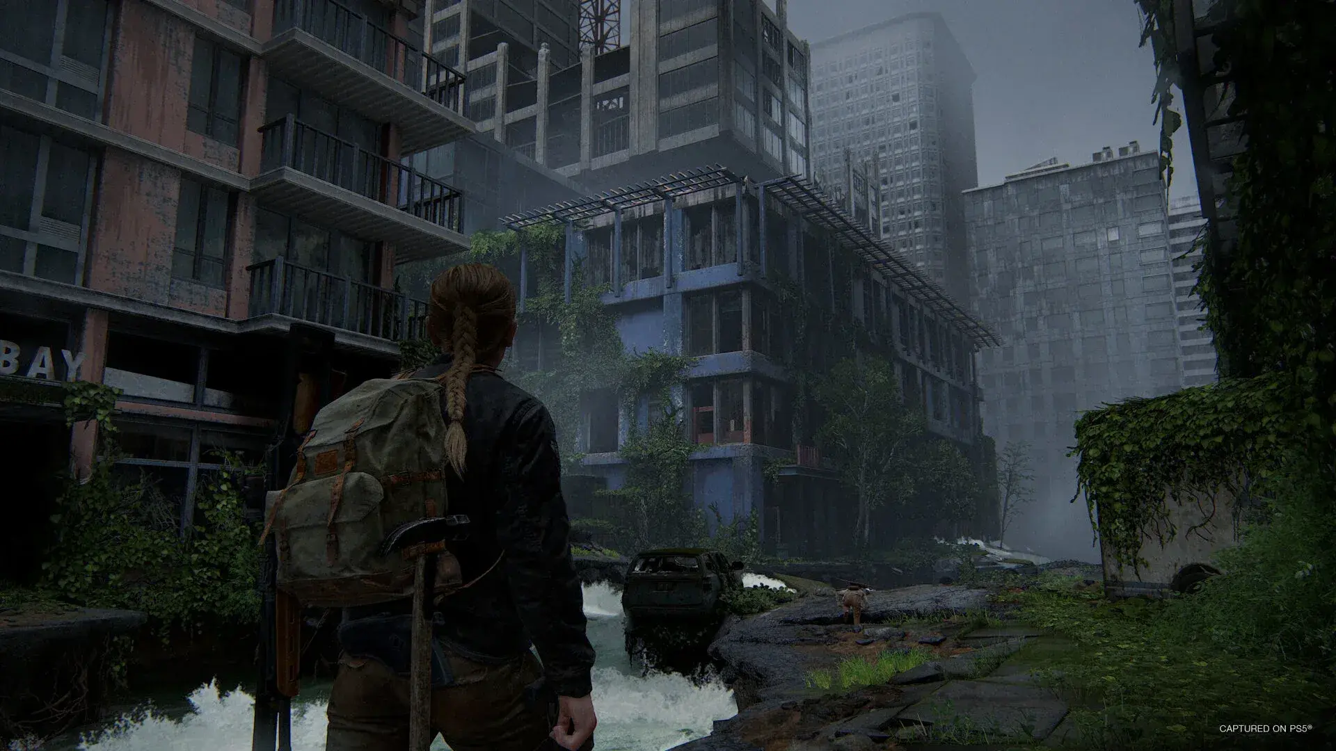 The Last of Us Part II Remastered thumbnail 17