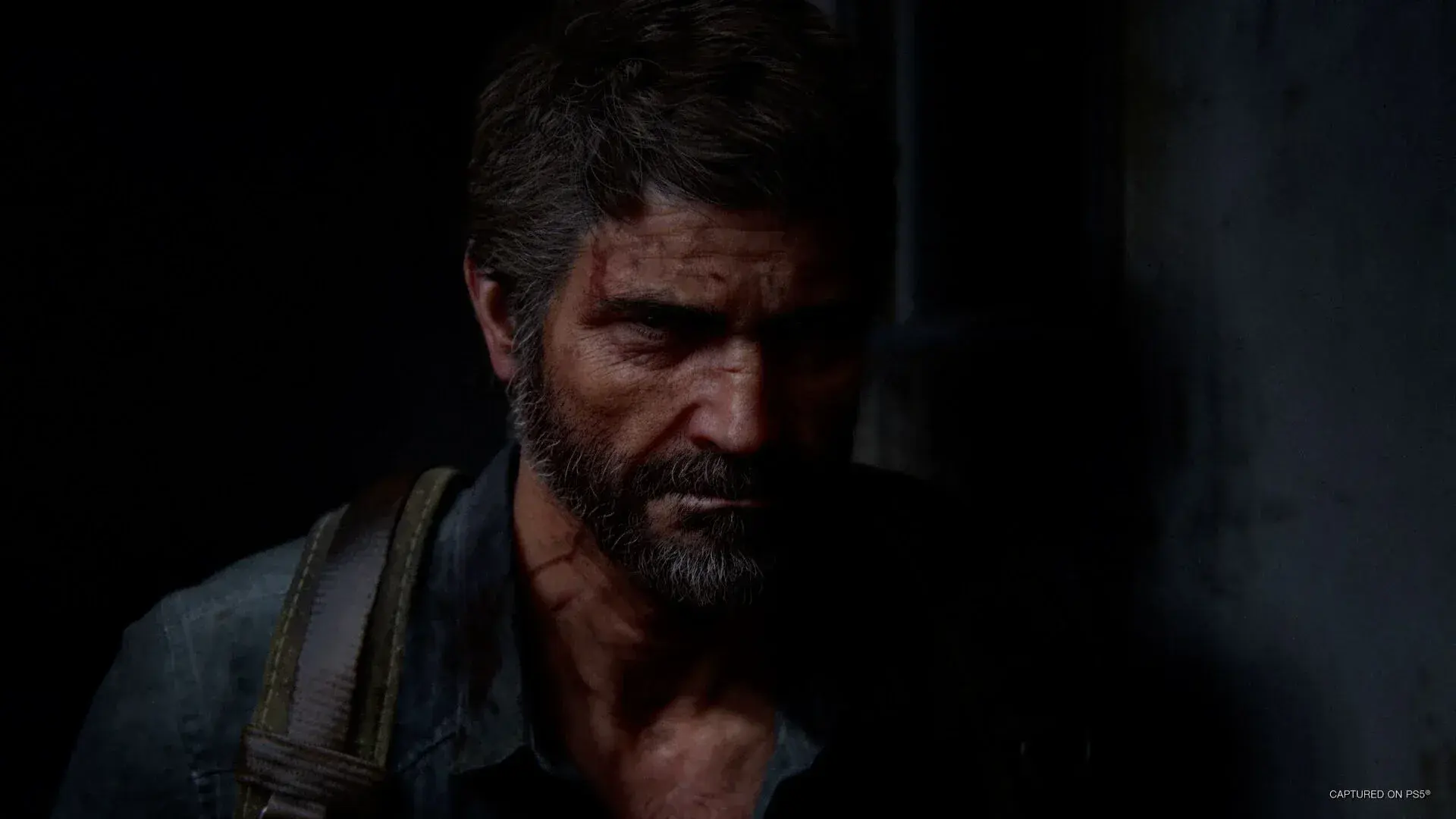 The Last of Us Part II Remastered thumbnail 19