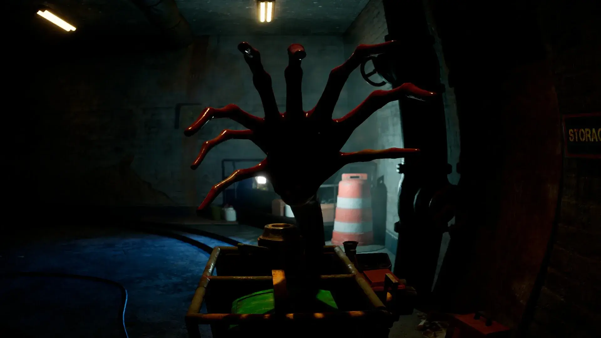 Zoochosis thumbnail 17