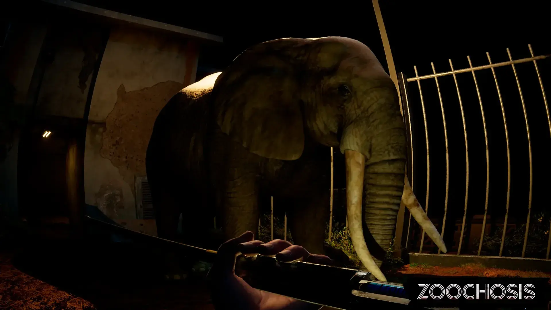 Zoochosis thumbnail 7