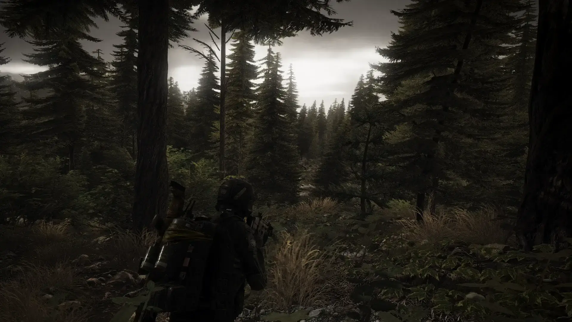 Tom Clancy's Ghost Recon Wildlands thumbnail 30