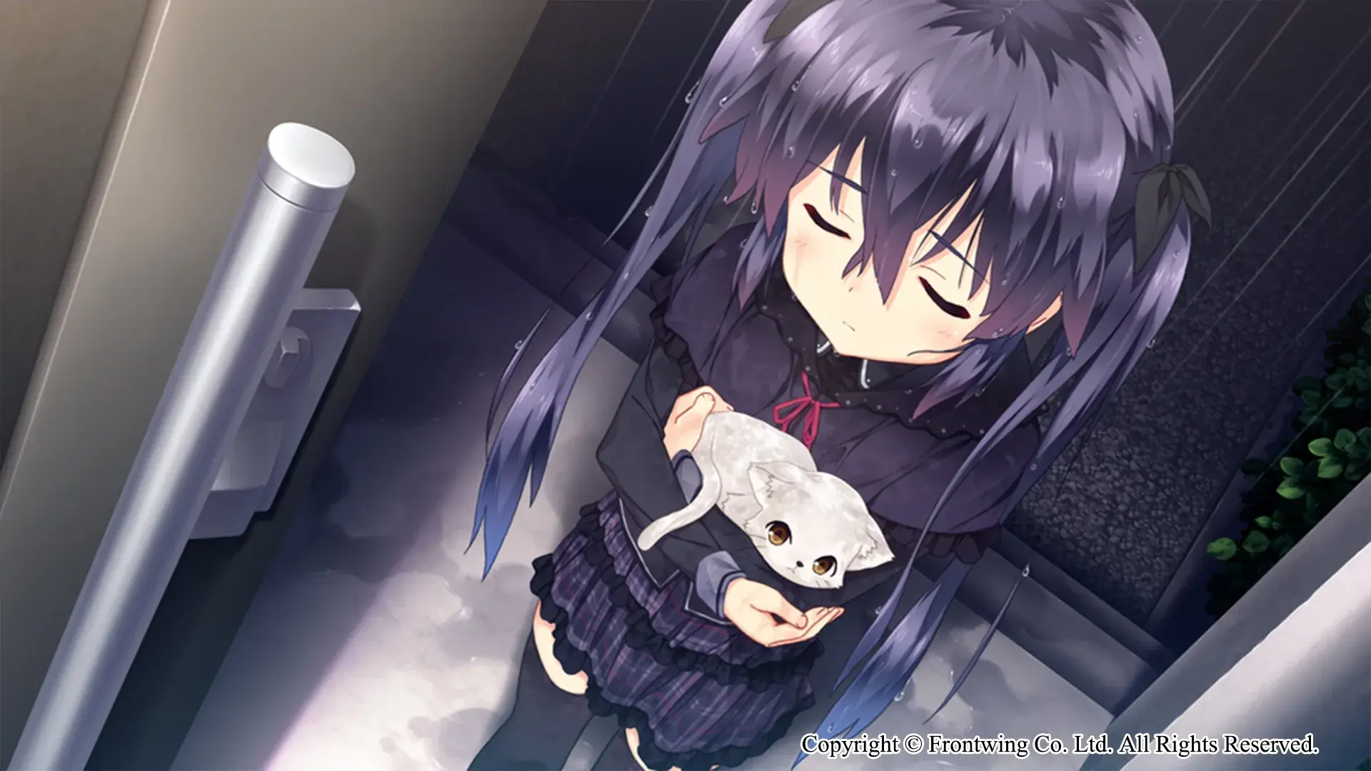 Himawari - The Sunflower - thumbnail 7