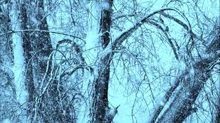 The Hanged Man trailer thumbnail 1