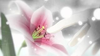 Atelier Ayesha: The Alchemist of Dusk DX trailer thumbnail 1