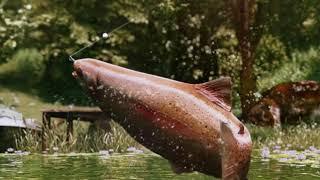 Ultimate Fishing Simulator trailer thumbnail 2